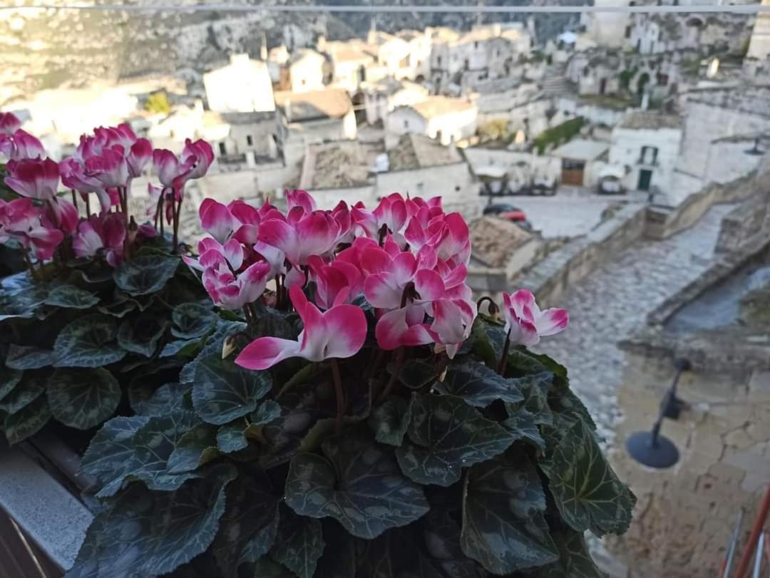 Slow Living B&B Ματέρα Εξωτερικό φωτογραφία